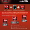 AMD - PC & Cia 100