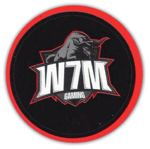 Adesivo W7M Gaming - BGS 2018