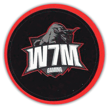 Adesivo W7M Gaming - BGS 2018
